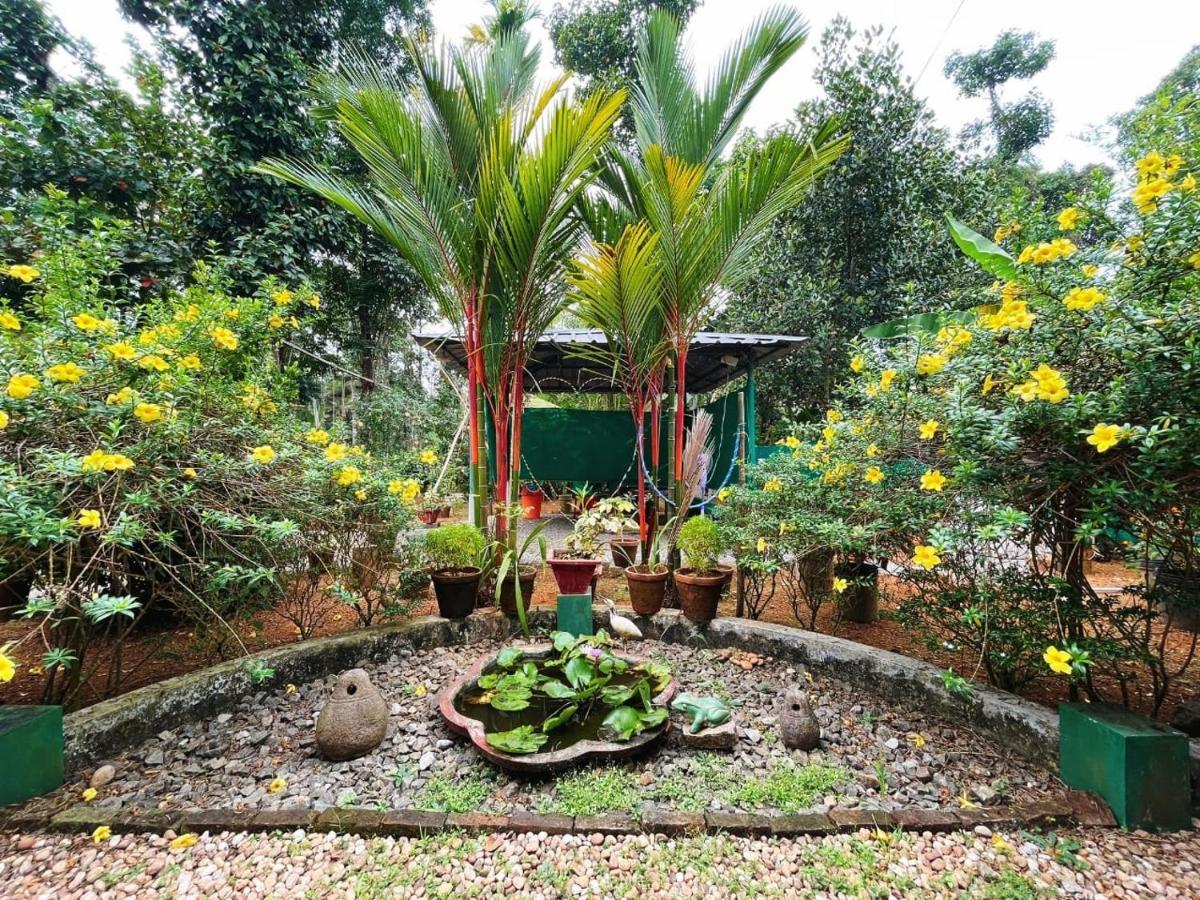 Kuttickattil Gardens Homestay Kottayam Ngoại thất bức ảnh