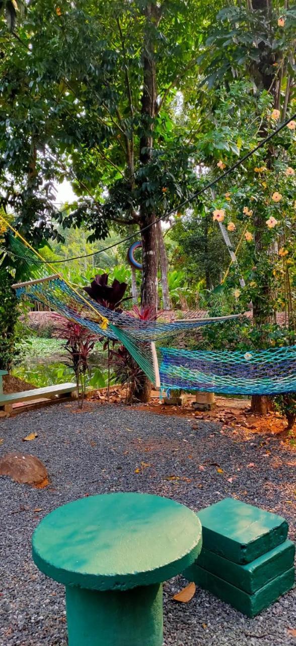 Kuttickattil Gardens Homestay Kottayam Ngoại thất bức ảnh