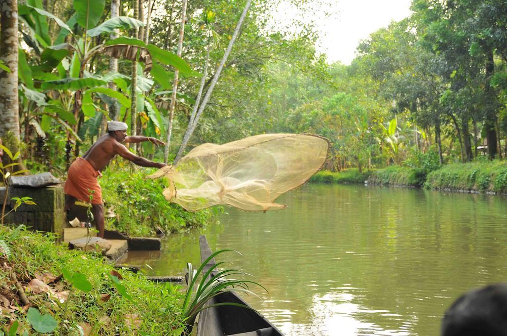 Kuttickattil Gardens Homestay Kottayam Ngoại thất bức ảnh