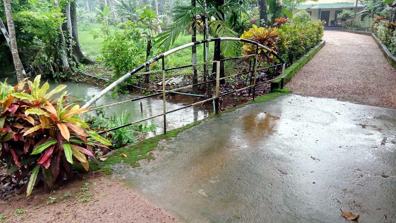 Kuttickattil Gardens Homestay Kottayam Ngoại thất bức ảnh